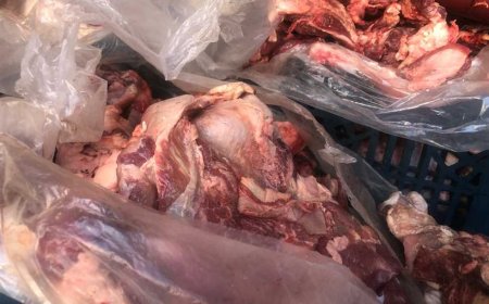 ضبط 100 كيلو لحوم مذبوحة خارج السلخانة بأختام مزورة في بالمنوفية