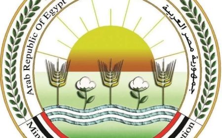 “الزراعة”:  المشروع القومي لإحياء البتلو ساهم في تحقيق طفرة في انتاج مصر من اللحوم والألبان