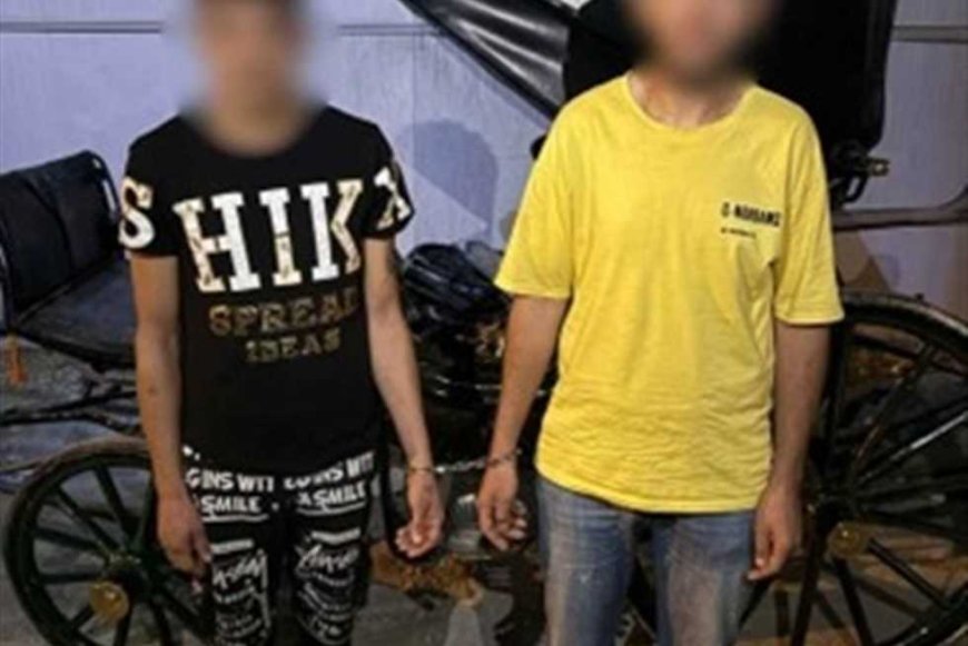 ضبط سائقين حاولا إجبار سائحة على ركوب «حنطور» وهددا مصور الفيديو بالإسكندرية