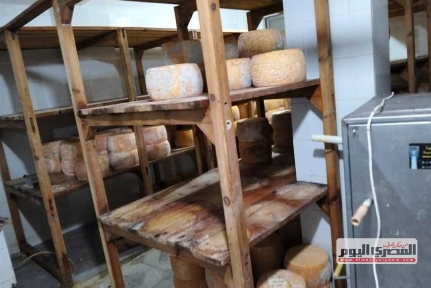 ضبط معمل غير مرخص بداخله 780 قرص جبن رومي مجهولة المصدر في كفرالشيخ