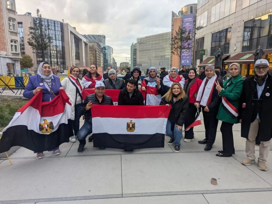 المجلس الأعلى للجالية المصرية بهولندا يناشد المصريين فى الخارج بالمشاركة فى الانتخابات