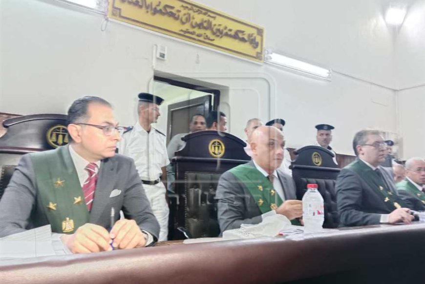 اليوم.. جلسة النطق بالحكم على المتهمة بقتل زوجها وأطفاله الـ6 بدلجا في المنيا