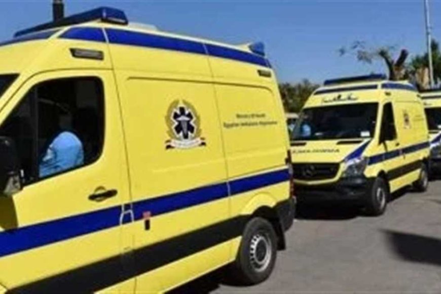 مصرع شخص وإصابة 12 آخرين فى حادث تصادم ربع نقل بقلاب في الصف بالجيزة