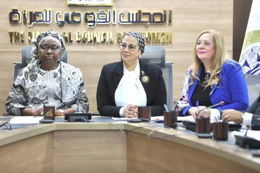 المستشارة أمل عمار تبحث سبل التعاون مع وفد مفوضية الاتحاد الإفريقي