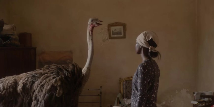 “عائشة لا تستطيع الطيران” يشارك في المسابقة الرسمية لمهرجان مراكش
