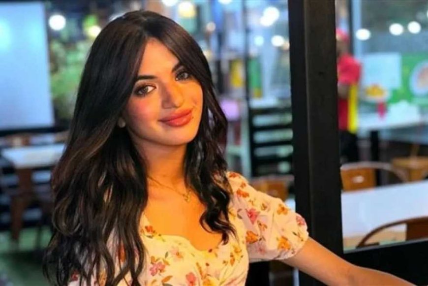 رسالة المحكمة للمجتمع في قضية سوزي الأردنية: «الفضاء الإلكتروني ليس بعيداً عن القانون»