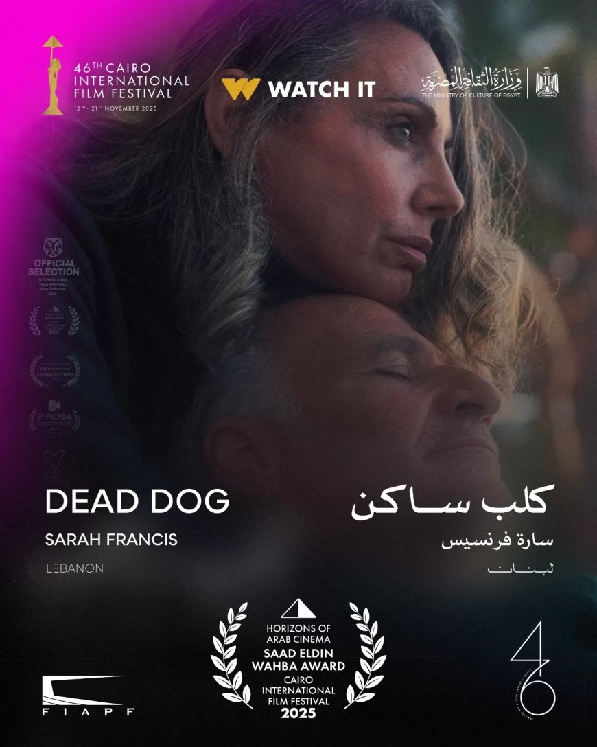 “كلب ساكن” يفوز بجائزة أفضل فيلم في مسابقة آفاق السنما العربية بالقاهرة السينمائي