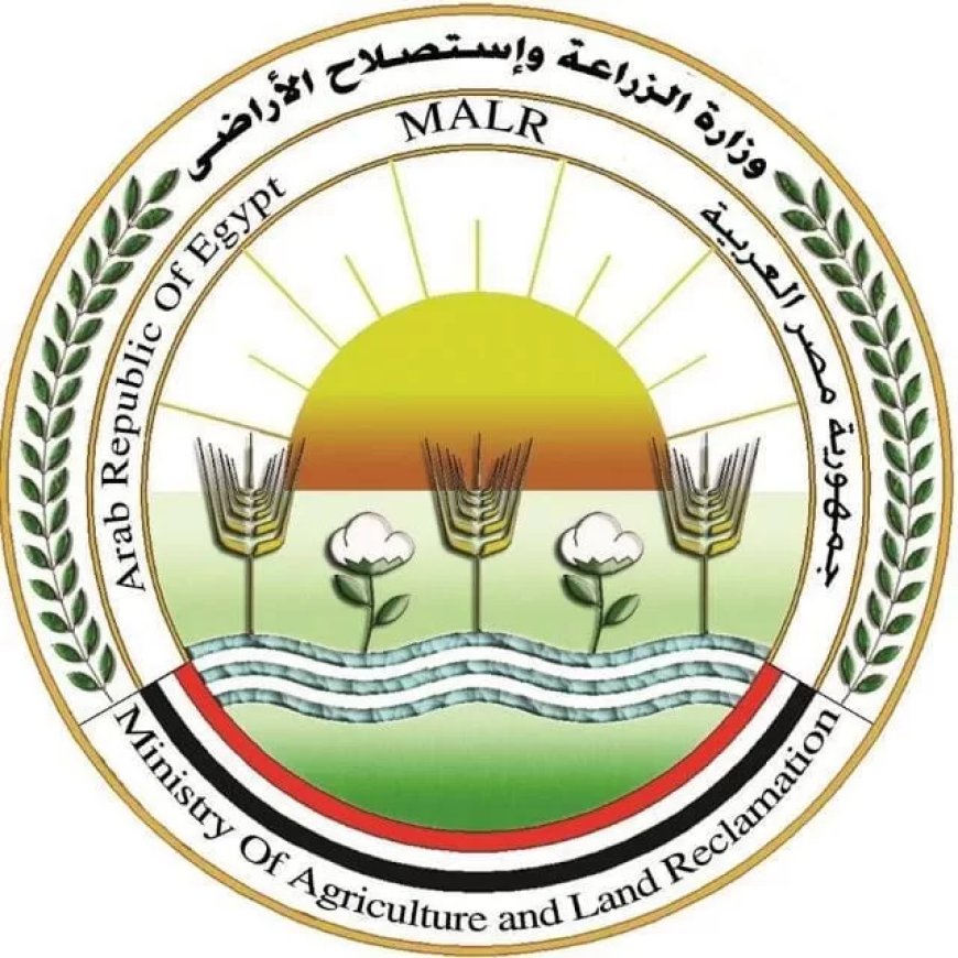 “الزراعة”:  المشروع القومي لإحياء البتلو ساهم في تحقيق طفرة في انتاج مصر من اللحوم والألبان
