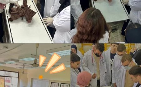 القاهرة الاهلية..تنظم تدريب عملي لطلاب العلاج الطبيعي بمعامل تشريح الجامعة الأم