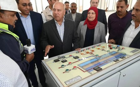 نائب رئيس الوزراء ووزير الصناعة والنقل يتفقد منطقتي “قفط” و”هو” الصناعيتين بقنا