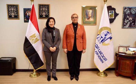 أمل عمار تبحث التعاون مع الممثلة المقيمة لبرنامج الأمم المتحدة الإنمائي في مصر