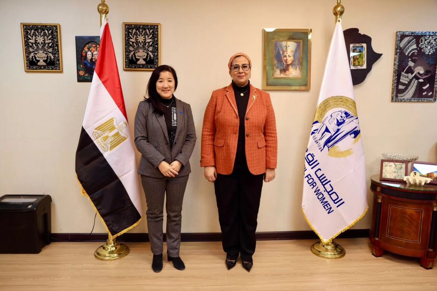 أمل عمار تبحث التعاون مع الممثلة المقيمة لبرنامج الأمم المتحدة الإنمائي في مصر