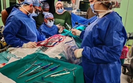 المستشفيات التعليمية استضافت خبراء عالميين بمعهد القلب القومى لإجراء الجراحات المعقدة وتدريب شباب الأطباء