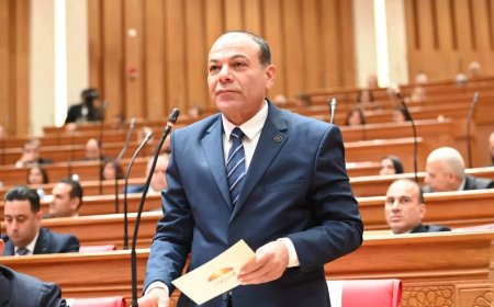 النائب عبد الله لاشين يتقدم بطلب إحاطة حول تدني المعاشات