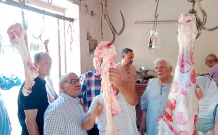 ضبط 100 كجم لحـوم غير صالحة للاستهلاك الآدمي بـ «جنزور» المنوفية