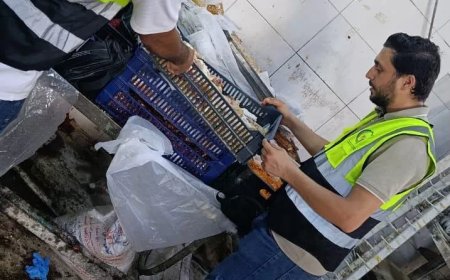 ضبط طن من حلوى المولد النبوي غير الصالحة للاستهلاك الآدمي داخل مصنع غير مرخص بالغربية