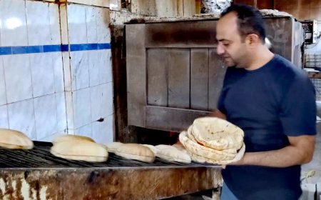 حملات يومية على مخابز دسوق بكفر الشيخ وتحرير 6 محاضر لنقص الوزن والنظافة