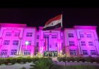 بالفيديو.. باللون الوردى.. جامعة اسيوط الأهلية تضئ ليلها برسالة أمل فى مواجهة سرطان الثدى