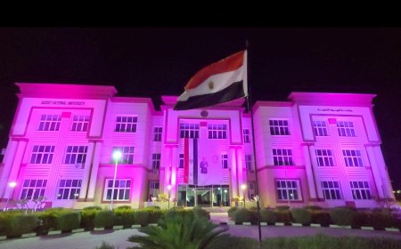بالفيديو.. باللون الوردى.. جامعة اسيوط الأهلية تضئ ليلها برسالة أمل فى مواجهة سرطان الثدى